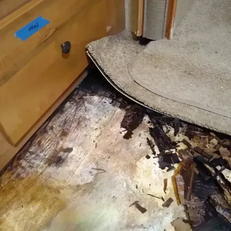 Wood Floor Water Damage in Golden Valley, AZ